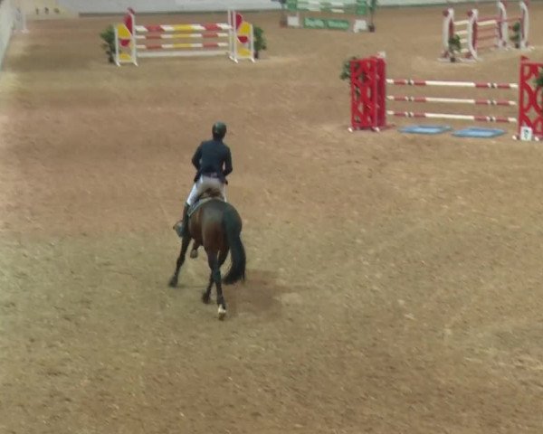 Reitturnier Kreuth/Opf. 2019
