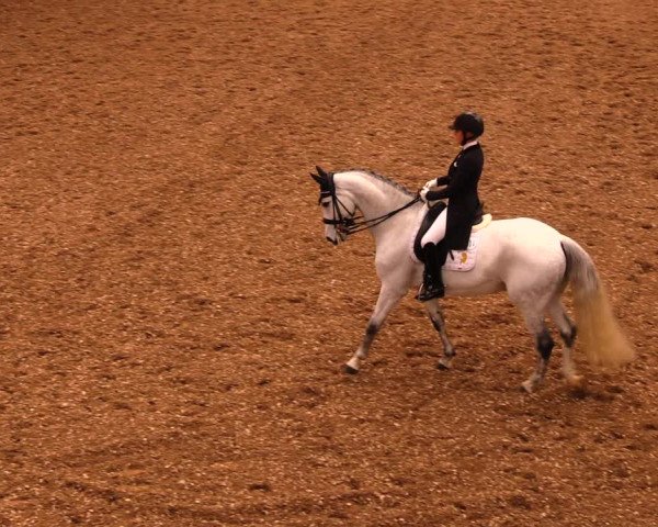 Reitturnier Dallgow 2019