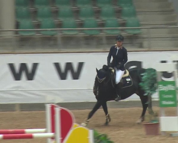 Reitturnier Kreuth/Opf. 2019