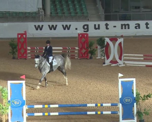 Reitturnier Kreuth/Opf. 2019