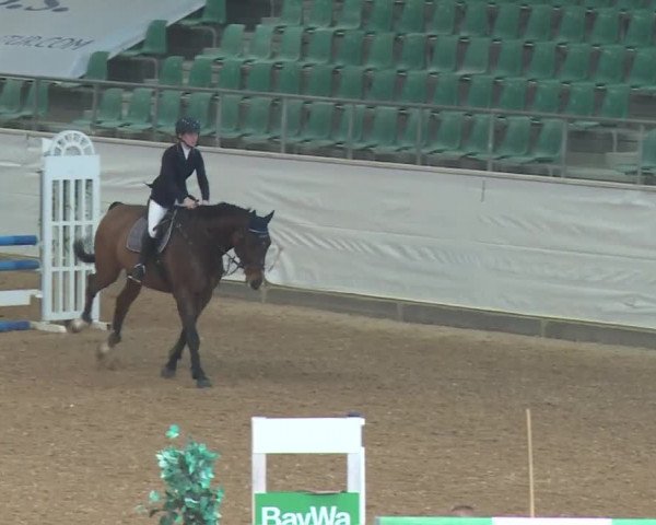 Reitturnier Kreuth/Opf. 2019