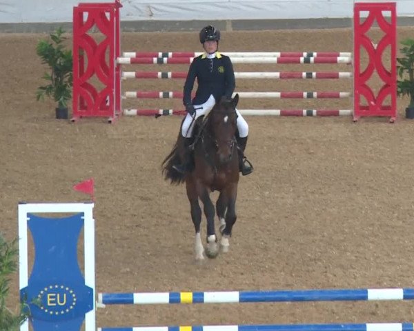 Reitturnier Kreuth/Opf. 2019