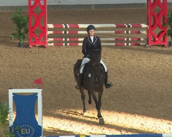 Reitturnier Kreuth/Opf. 2019