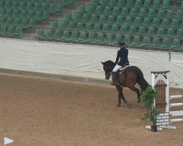 Reitturnier Kreuth/Opf. 2019