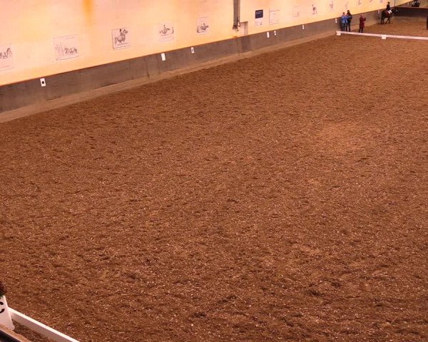 Reitturnier Dallgow 2019