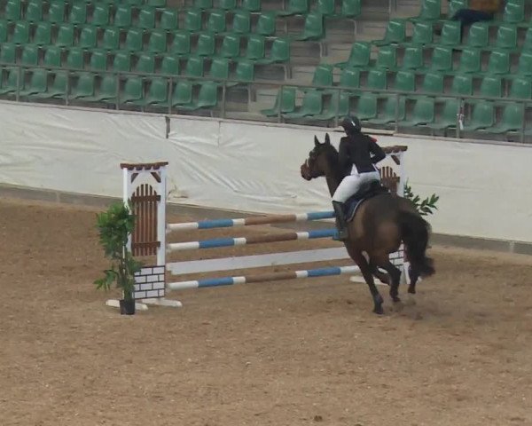 Reitturnier Kreuth/Opf. 2019