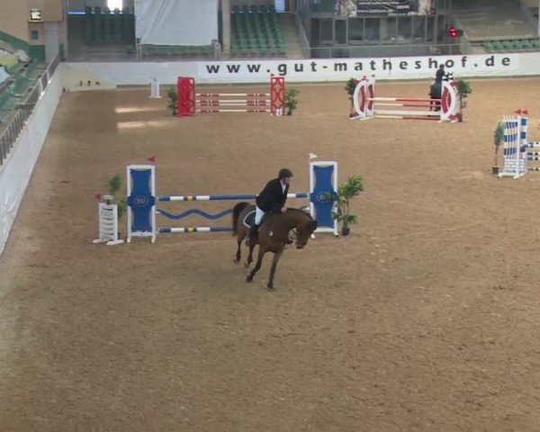 Reitturnier Kreuth/Opf. 2019