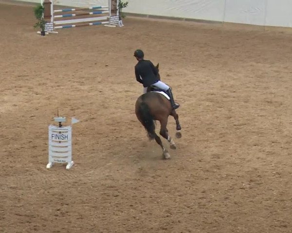 Reitturnier Kreuth/Opf. 2019