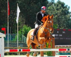 jumper Everest van 't Heike (Belgian Warmblood, 2004, from Nabab de Rêve)