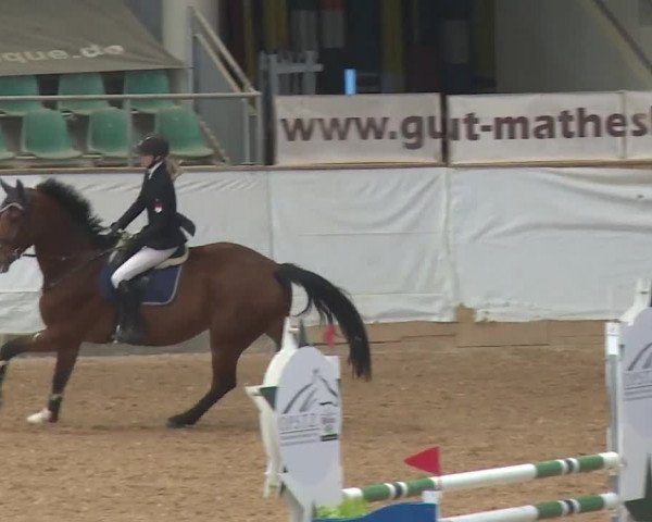 Reitturnier Kreuth/Opf. 2019