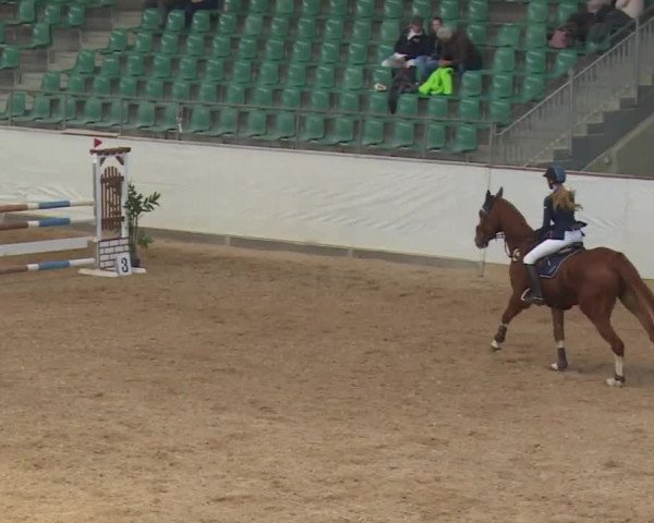 Reitturnier Kreuth/Opf. 2019