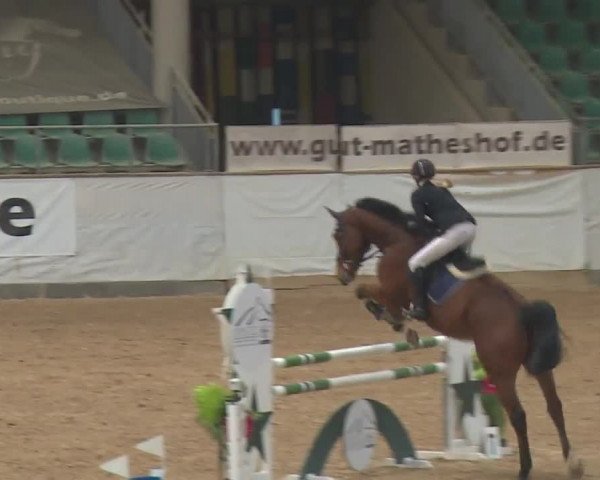Reitturnier Kreuth/Opf. 2019
