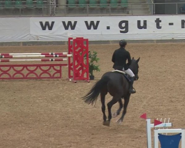 Reitturnier Kreuth/Opf. 2019