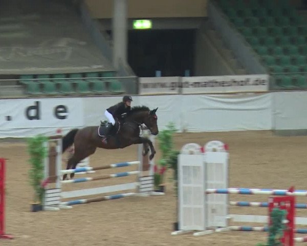 Reitturnier Kreuth/Opf. 2019