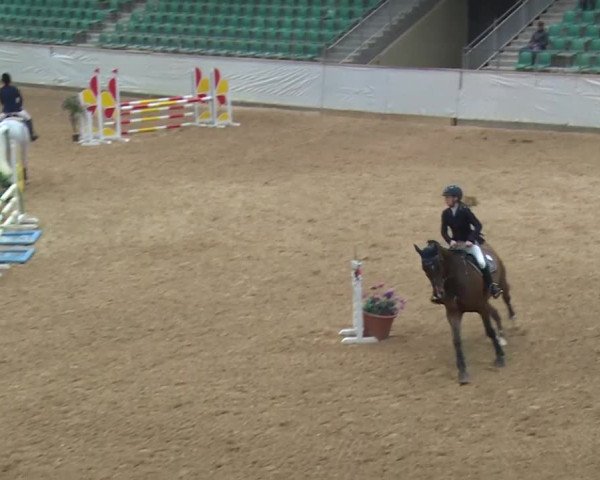 Reitturnier Kreuth/Opf. 2019