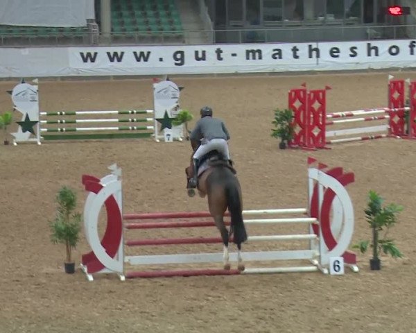Reitturnier Kreuth/Opf. 2019