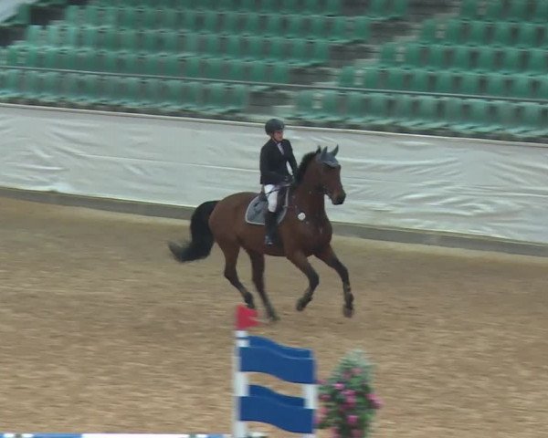Reitturnier Kreuth/Opf. 2019