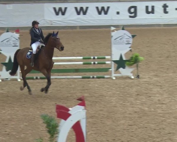 Reitturnier Kreuth/Opf. 2019