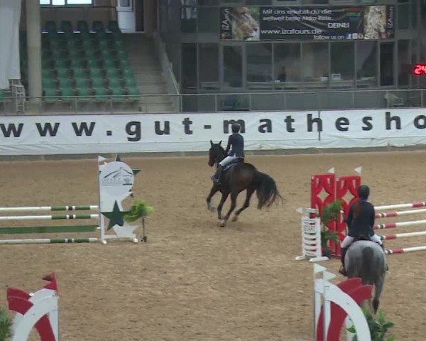 Reitturnier Kreuth/Opf. 2019