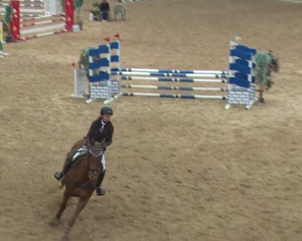 Reitturnier Kreuth/Opf. 2019