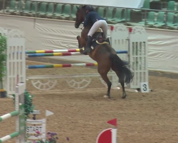 Reitturnier Kreuth/Opf. 2019