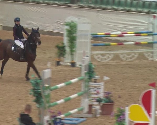 Reitturnier Kreuth/Opf. 2019