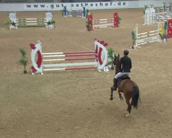 Reitturnier Kreuth/Opf. 2019