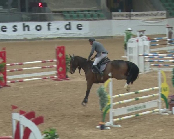 Reitturnier Kreuth/Opf. 2019
