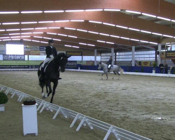 Reitturnier Isterberg 2019