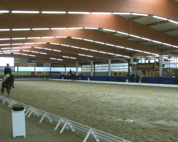 Reitturnier Isterberg 2019