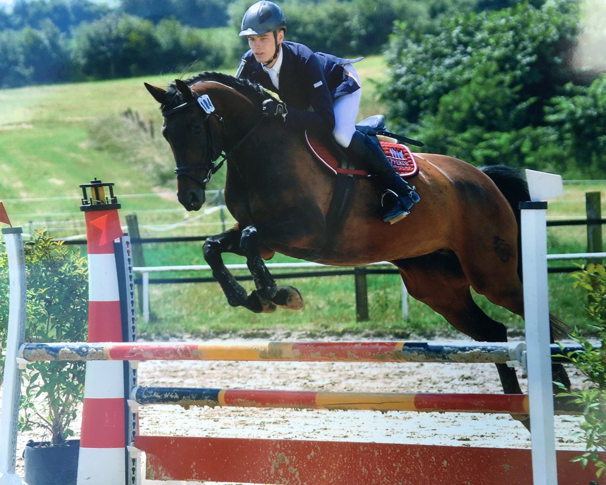 broodmare Cayenne Pepper 3 (Westphalian, 2010, from Continus Grannus)