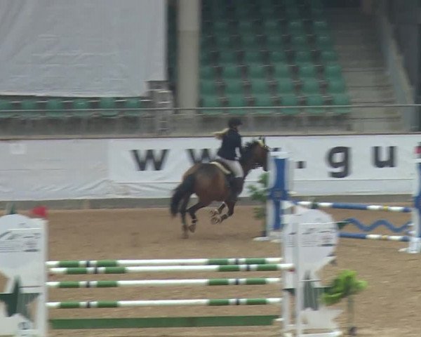 Reitturnier Kreuth/Opf. 2019