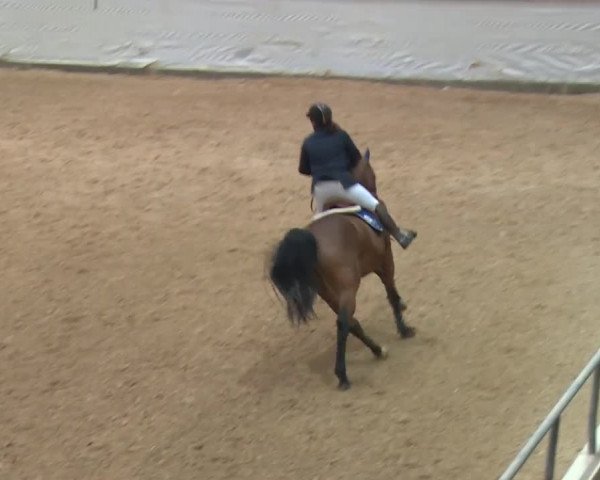 Reitturnier Kreuth/Opf. 2019