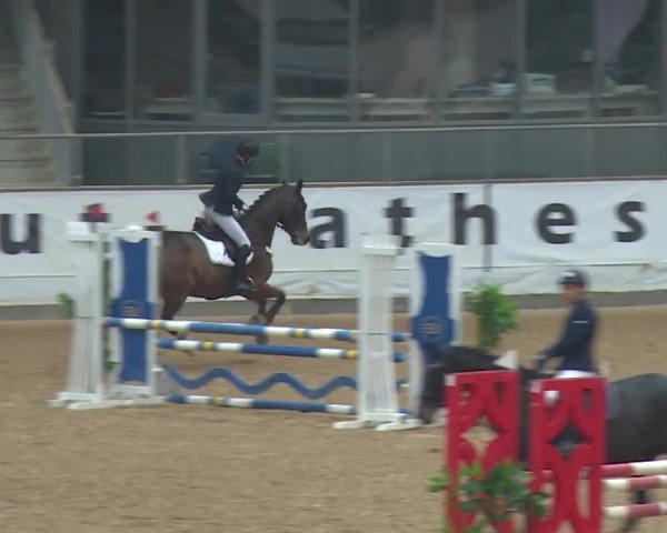 Reitturnier Kreuth/Opf. 2019