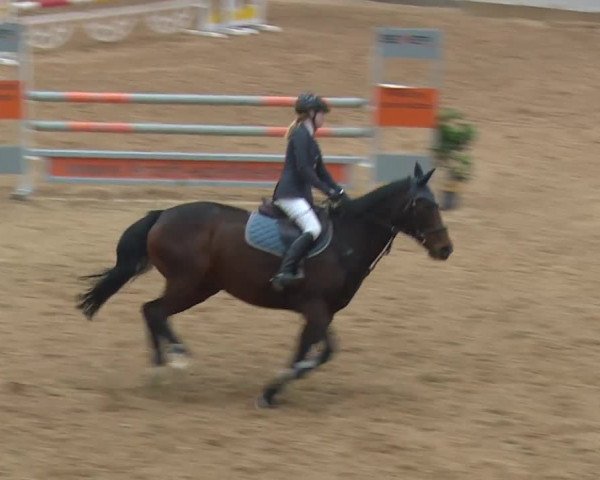 Reitturnier Kreuth/Opf. 2019