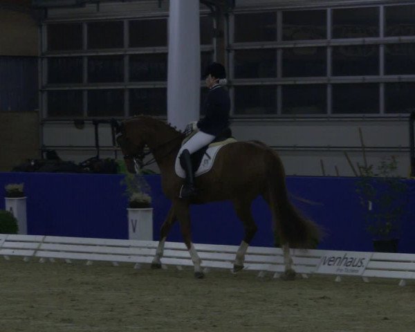 Reitturnier Isterberg 2019