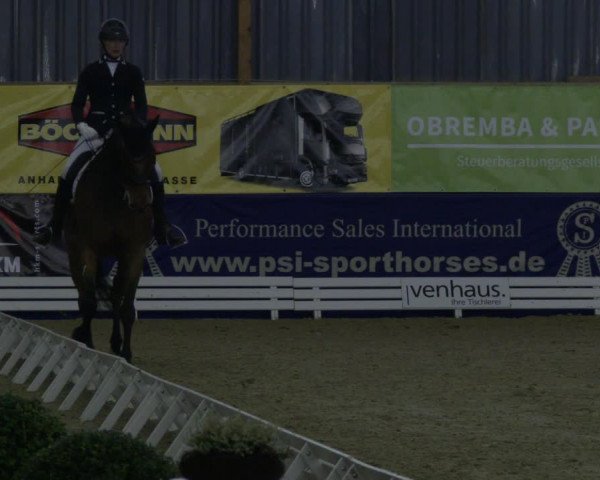 Reitturnier Isterberg 2019