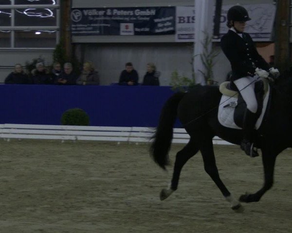 Reitturnier Isterberg 2019