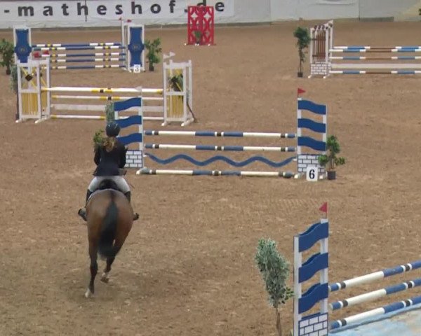 Reitturnier Kreuth/Opf. 2019