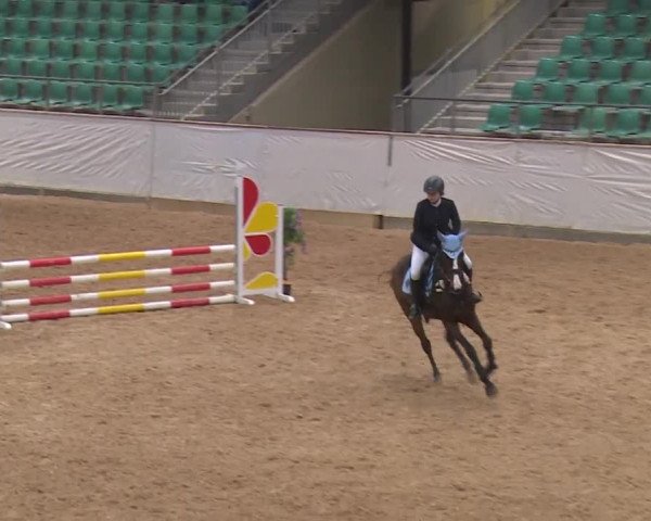 Reitturnier Kreuth/Opf. 2019