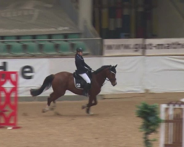 Reitturnier Kreuth/Opf. 2019