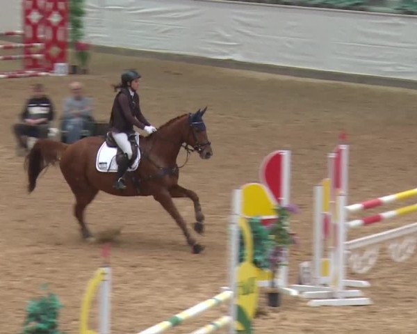 Reitturnier Kreuth/Opf. 2019