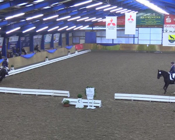 Reitturnier Großenwiehe 2019
