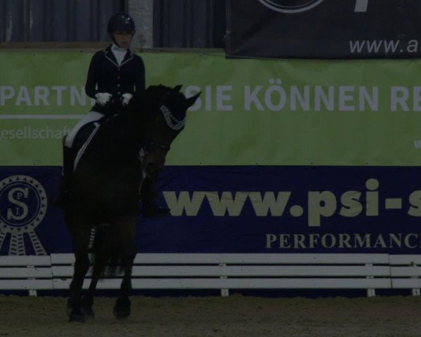 Reitturnier Isterberg 2019
