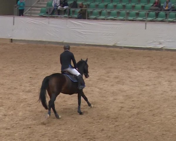 Reitturnier Kreuth/Opf. 2019