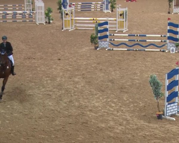 Reitturnier Kreuth/Opf. 2019