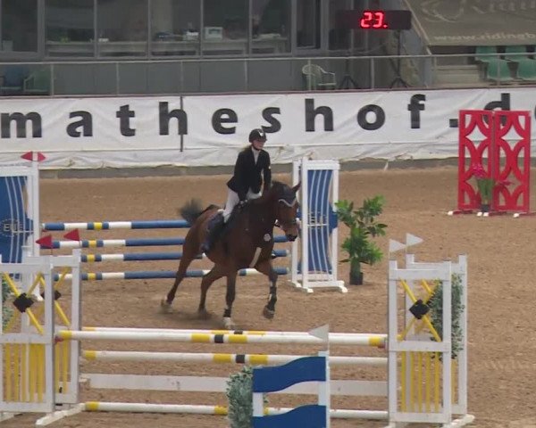 Reitturnier Kreuth/Opf. 2019