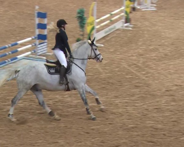 Reitturnier Kreuth/Opf. 2019