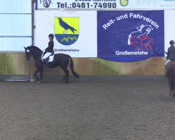 Reitturnier Großenwiehe 2019
