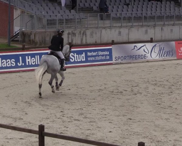 Reitturnier Westergellersen 2021